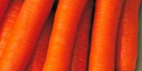 Šargarepa nandrine f1